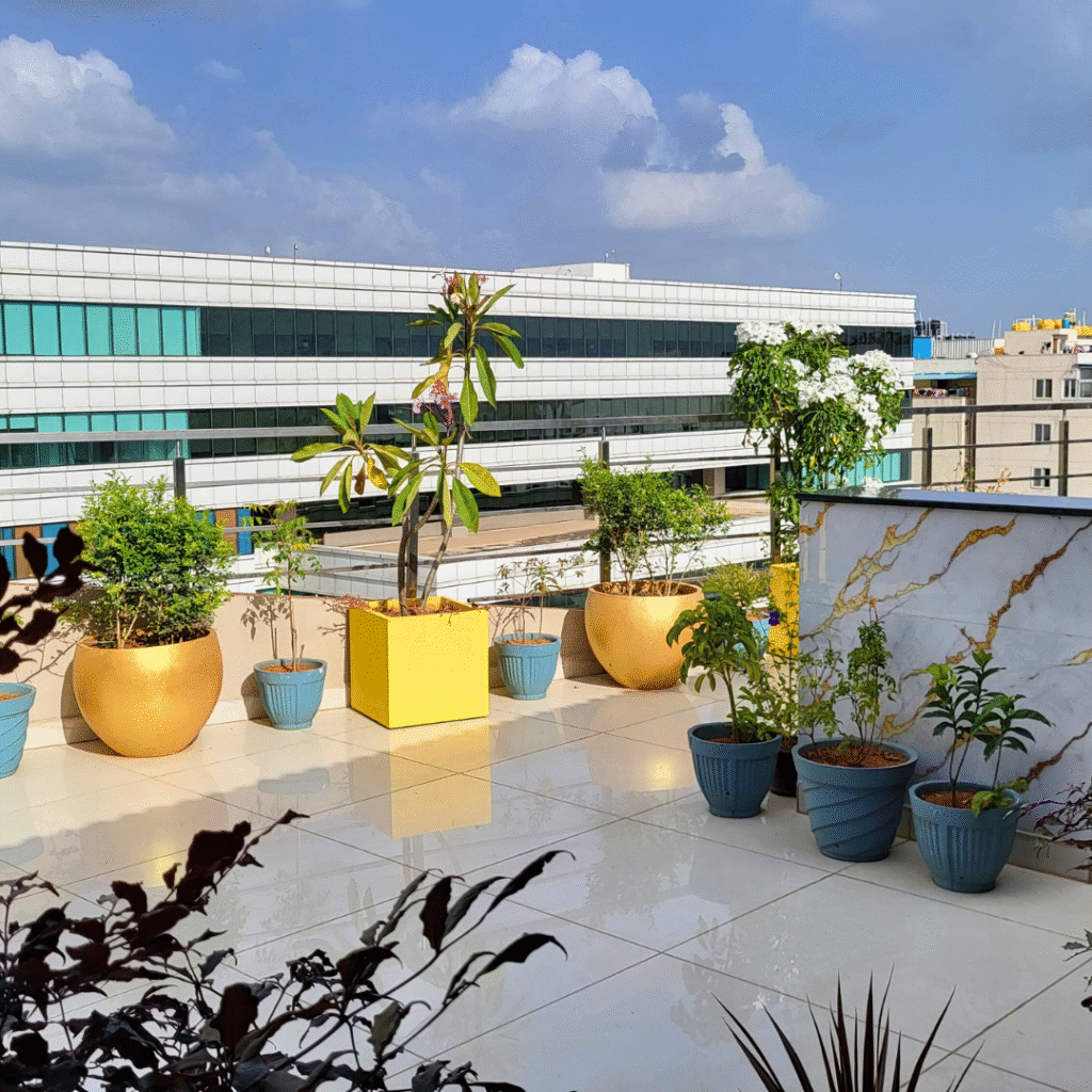 About the Dritan Bangalore