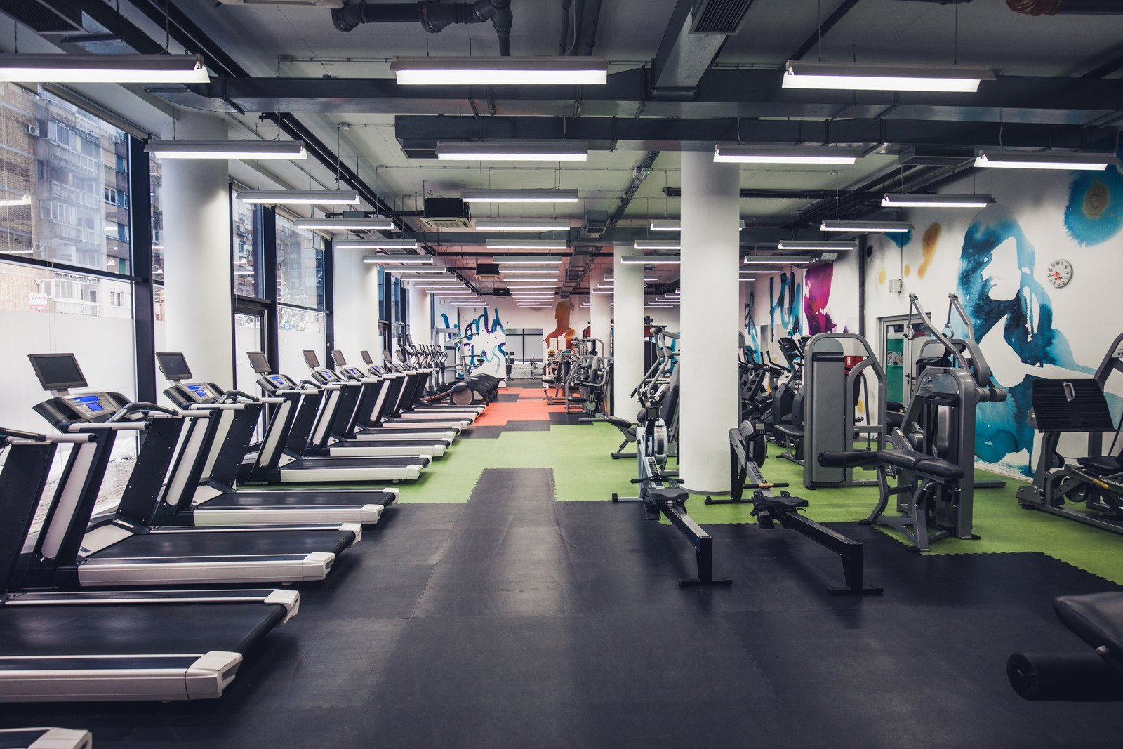 Modern Gym & Fitness